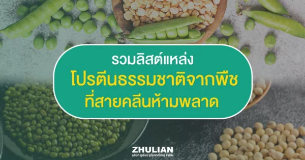 รวมแหล่งโปรตีนจากพืช