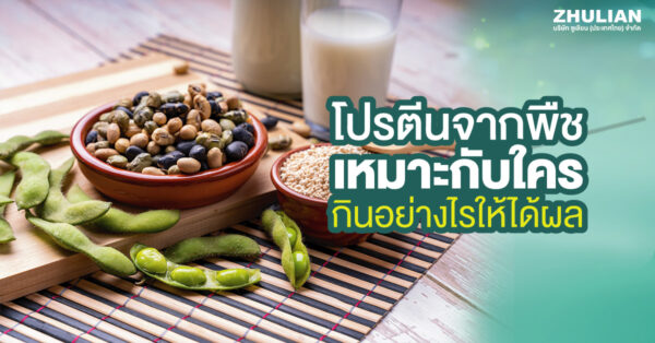 โปรตีนจากพืช เหมาะกับใคร กินอย่างไรให้ได้ผล