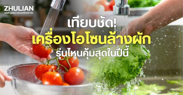 เครื่องโอโซนล้างผัก ยี่ห้อไหนดี